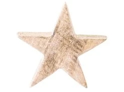 Brandneu 🎉 Dekostern "Klassik" - D15 cm in braun 🔔