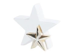 Brandneu 🛒 Dekostern "Natur" - 20,5/19,5/7 cm in weiß ✨