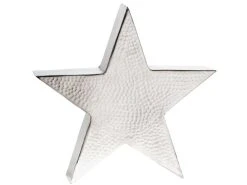 Budget ✨ Casa Nova Dekostern "Silber" - D34 cm in silberfarben ✨