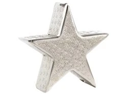 Beste Bewertungen von ❤️ Casa Nova Dekostern "Silber" - 16/5 cm in silberfarben 🤩