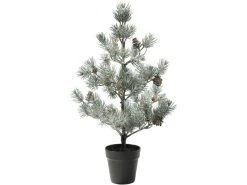 Am billigsten 🥰 Casa Nova Dekokiefer mit Eis-Effekt "Black&White" - 30/68 cm in grün ⭐