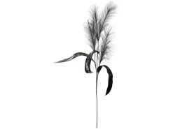 Schlussverkauf ❤️ Softflower Schilfgras "Black&White" - 110 cm in schwarz ⌛